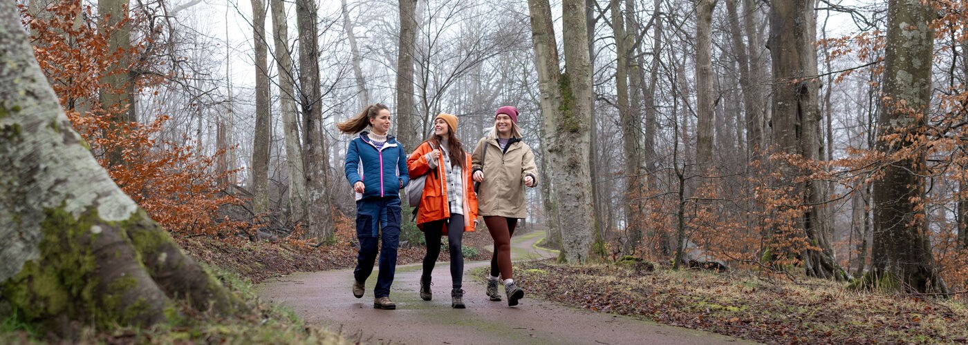 Three females walking through a woodland autumn winter